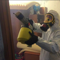 Уничтожение клопов в квартире. Кологрив
